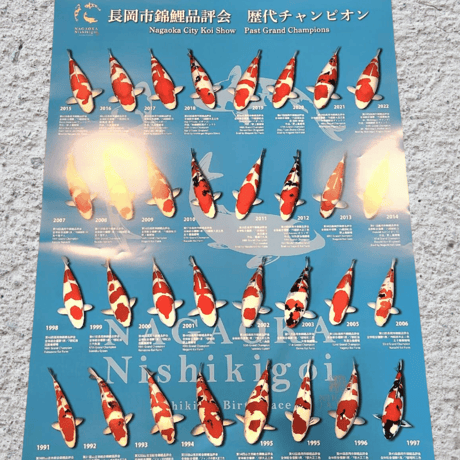 錦鯉カレンダー2024