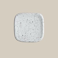 Dalmatian / Plate ( 四角 )