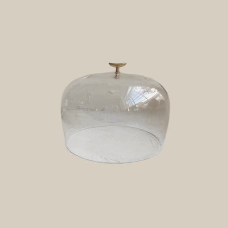 Glass Dome L  (17.5cm )