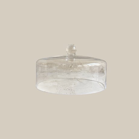 Glass Dome 23cm