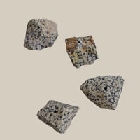 Stone Insence Holder / Dalmatian Jasper