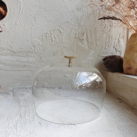 Glass Dome L  (17.5cm )