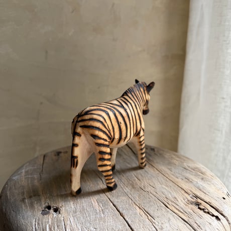 シマウマ