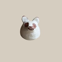 utsuwa no shigoto / タヌキ Cup