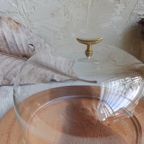 Glass Dome L  (17.5cm )