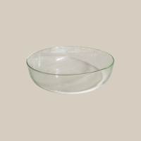 Glass Salad Bowl  L
