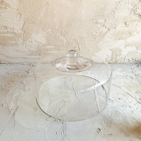 Glass Dome 23cm