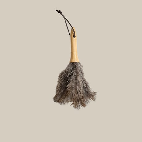 Feather Duster