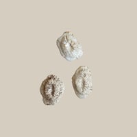 ceramica LABORATORY / 海のもの D