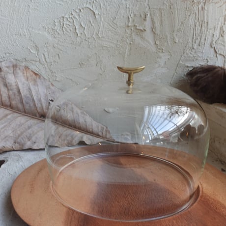 Glass Dome L  (17.5cm )