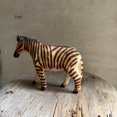 シマウマ