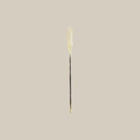 yuta 須原健夫 / 姫フォーク