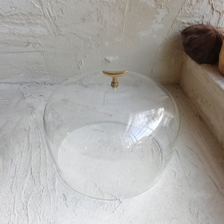 Glass Dome L  (17.5cm )