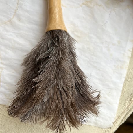 Feather Duster