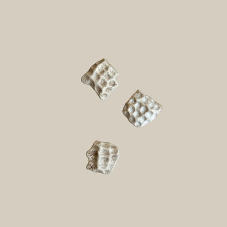 ceramica LABORATORY / 海のもの C