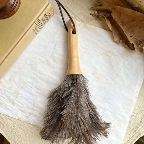 Feather Duster