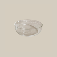 Glass Salad Bowl  S