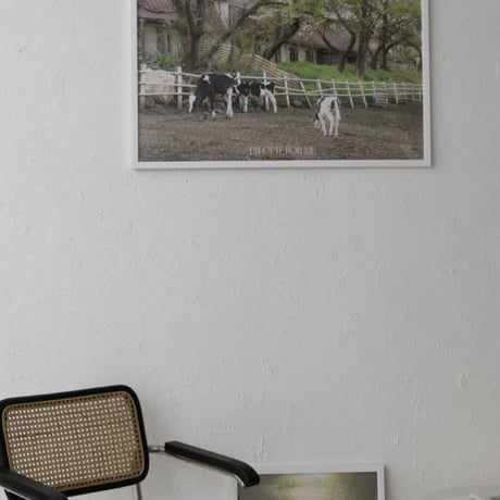 ［A1サイズ］cattle pasture