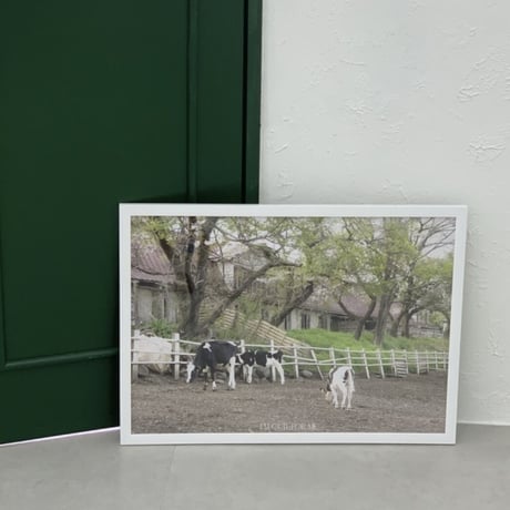［A1サイズ］cattle pasture