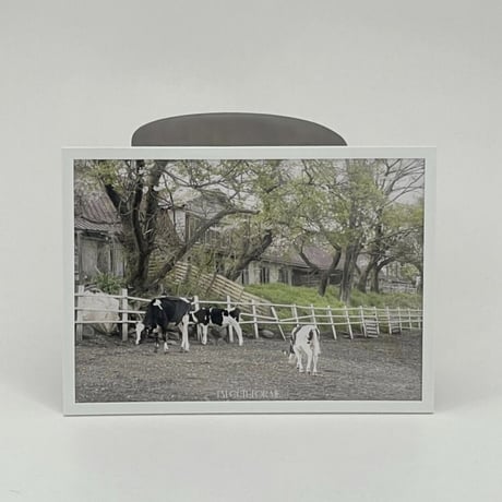 ［A1サイズ］cattle pasture