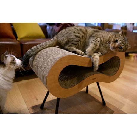 Cat Stool［ Midi ］Black / Silver