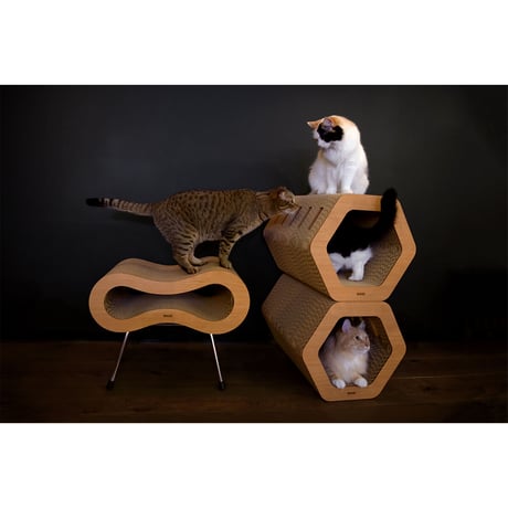Cat Scratch ｜ Hexagon［ Max ］