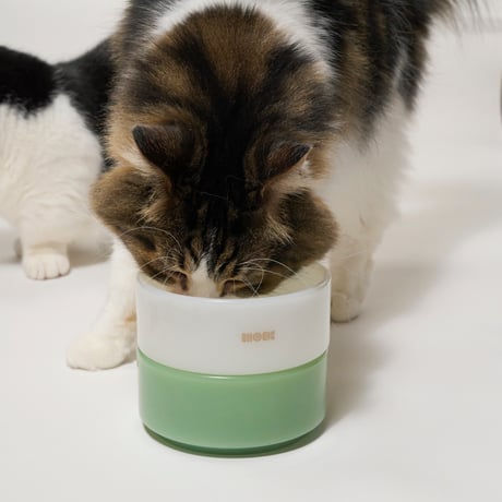 The Retro Milk Glass Bowls（White & Green Set／2pcs）