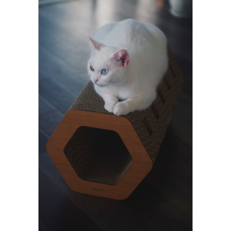 Cat Scratch ｜Hexagon［ Midi ］ | MOCK®︎ SHOP