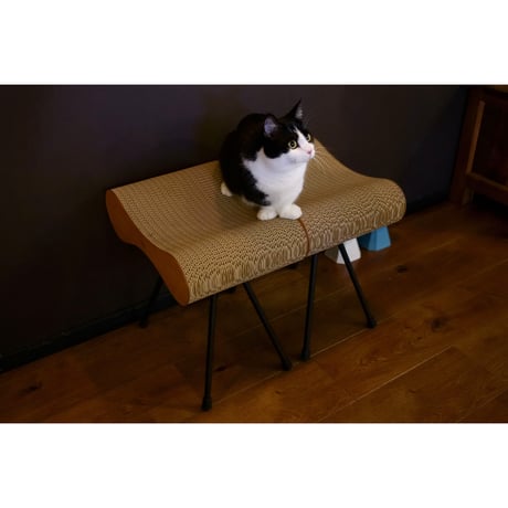 Cat Stool［ Mini ］Black / Silver