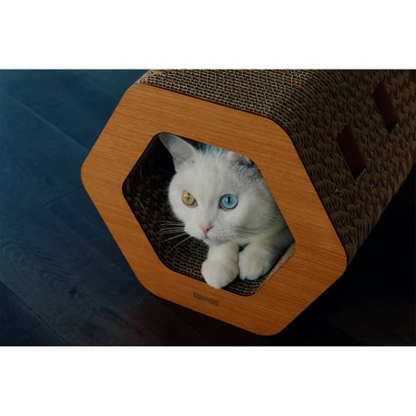 Cat Scratch ｜Hexagon［ Midi ］
