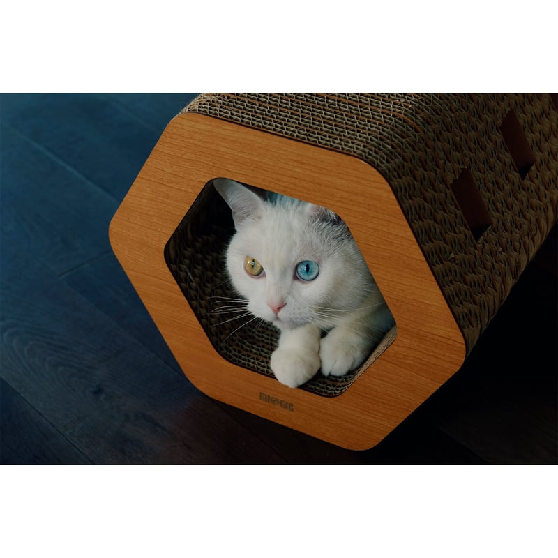 Cat Scratch ｜Hexagon［ Midi ］ | MOCK®︎ SHOP