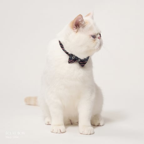 ÉCLAT BOW（4 Designs Set／4pcs）