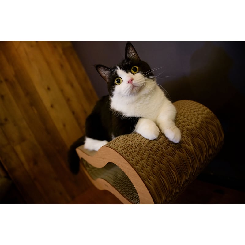 Cat Scratch ｜ Peanuts ［ Midi ］ | MOCK®︎ SHOP