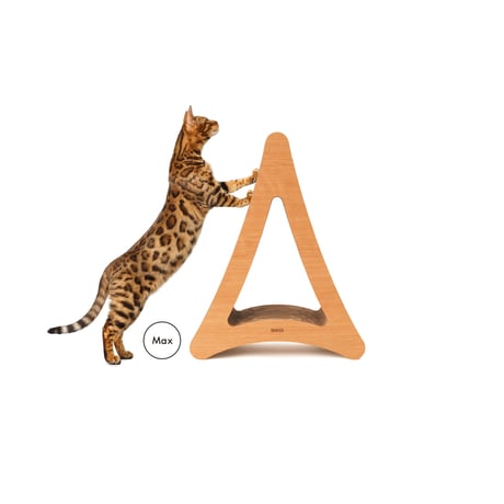 Cat Scratch ｜Triangle［ Max ］