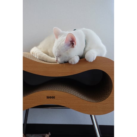 Cat Stool［ Midi ］Black / Silver