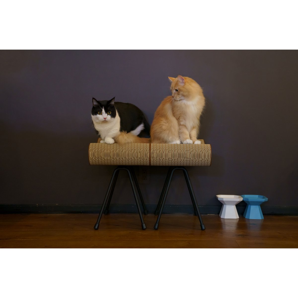 希少！リンホーリン♡猫脚スツール Cat Stool［ Mini ］Black / Silver | MOCK®︎ SHOP