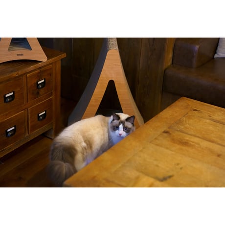 Cat Scratch ｜Triangle［ Max & Midi ］ 2-Piece Set（2個セット）