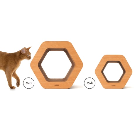 Cat Scratch ｜Hexagon［ Midi ］