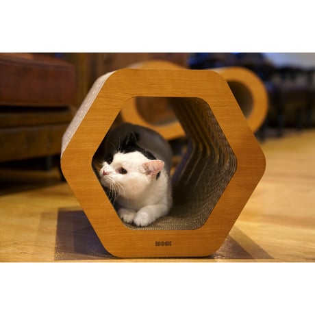 Cat Scratch ｜ Hexagon［ Max ］
