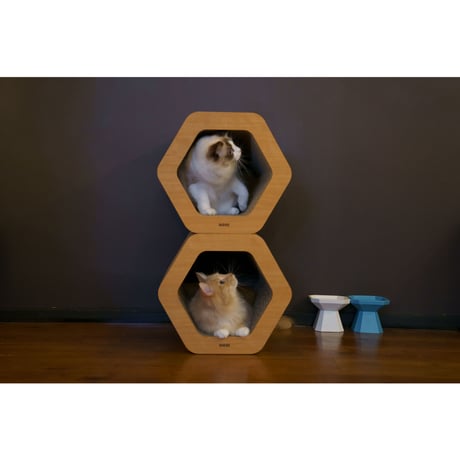 Cat Scratch ｜ Hexagon［ Max ］