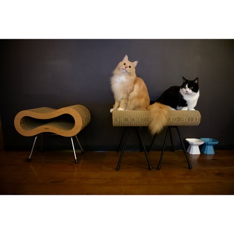Cat Stool［ Mini ］Black / Silver