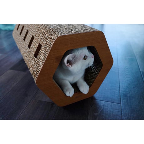 Cat Scratch ｜Hexagon［ Midi ］