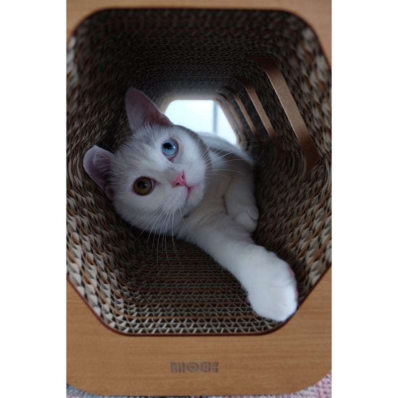 Cat Scratch ｜Hexagon［ Midi ］ | MOCK®︎ SHOP