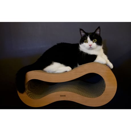 Cat Scratch ｜ Peanuts ［ Midi ］