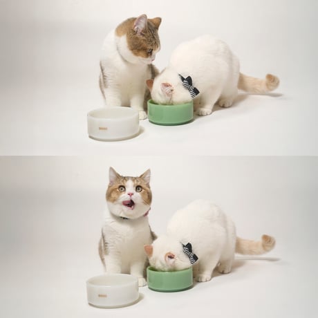 The Retro Milk Glass Bowls（White & Green Set／2pcs）