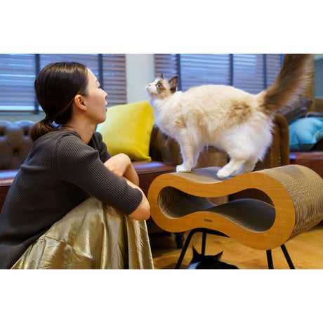 Cat Stool［ Midi ］Black / Silver