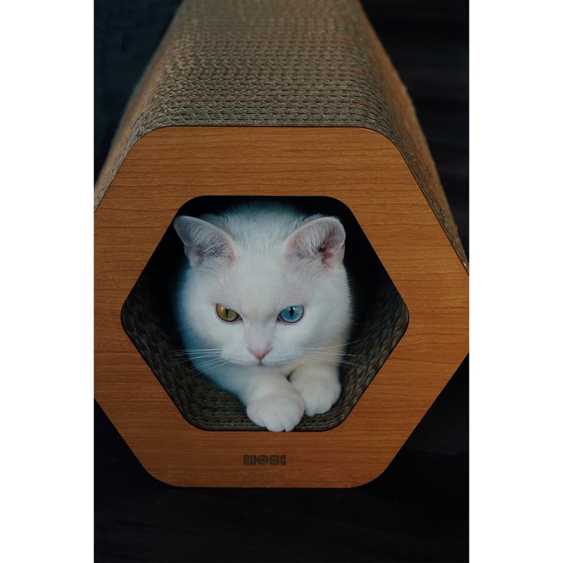 【maocat】 楽天市場】【大感謝祭！20%OFFクーポン】マオメイド mao made