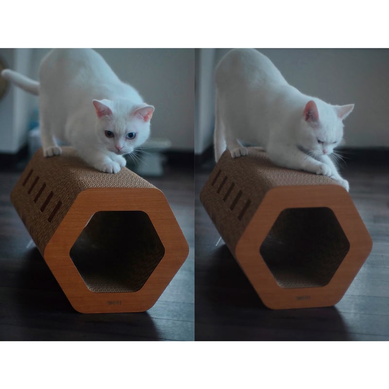 Cat Scratch ｜Hexagon［ Midi ］ | MOCK®︎ SHOP