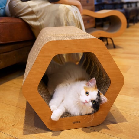 Cat Scratch ｜ Hexagon［ Max ］