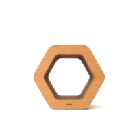 Cat Scratch ｜ Hexagon［ Max ］